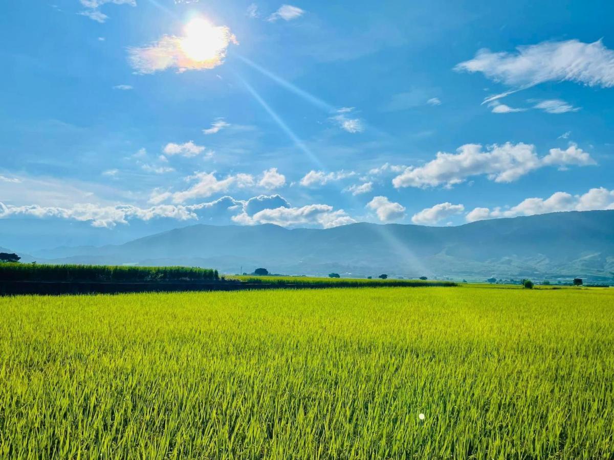 關山稻香田園民宿 Haiduan Εξωτερικό φωτογραφία